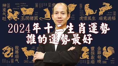 撿到鳥運勢|生肖龍：2022年喜訊頻發，財運旺盛，收穫真愛 快來把幸福撿起。